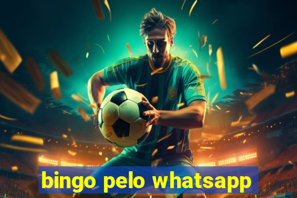 bingo pelo whatsapp